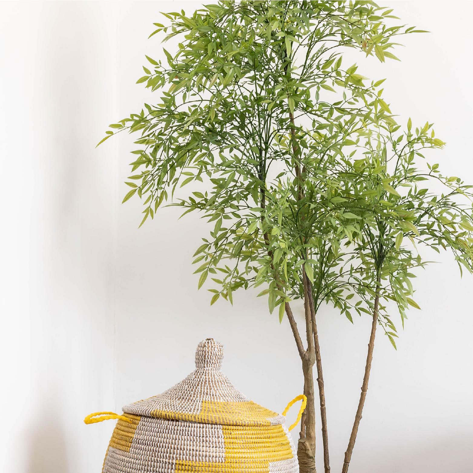 https://www.thehomequarter.co.za/cdn/shop/articles/how-to-clean-artificial-plants_the_home_quarter_1563x.jpg?v=1692916542