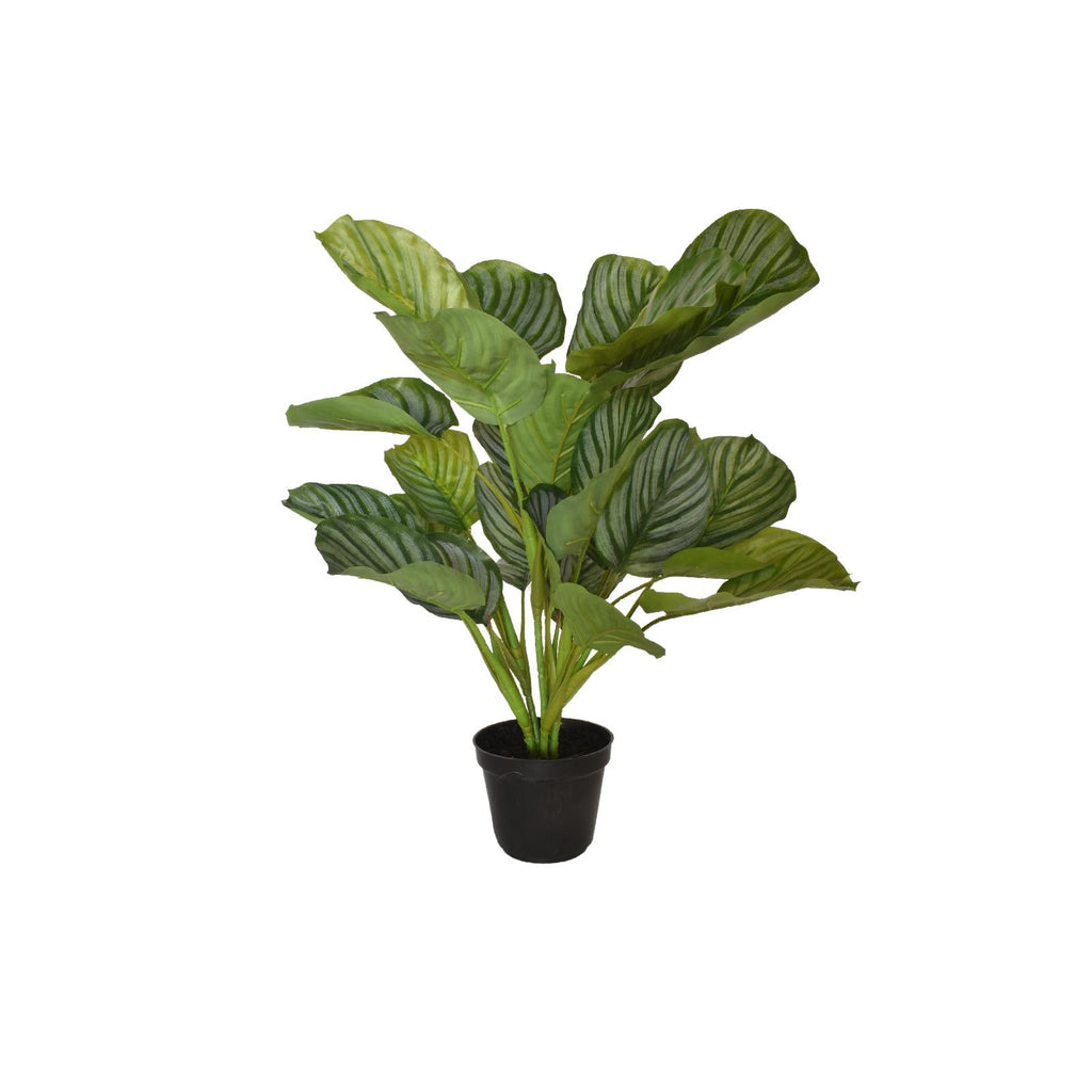 Artificial calathea plant