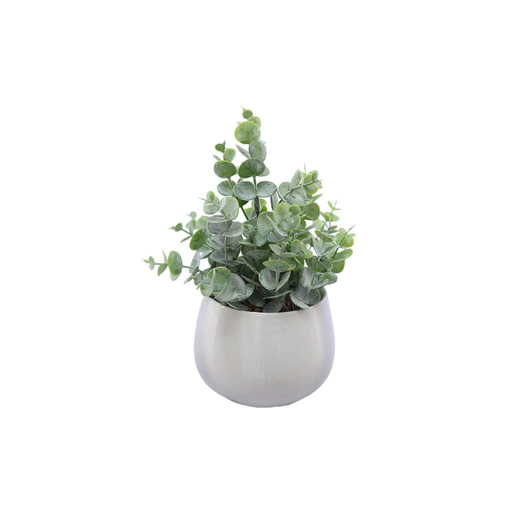 Artificial coin leaf in white pot