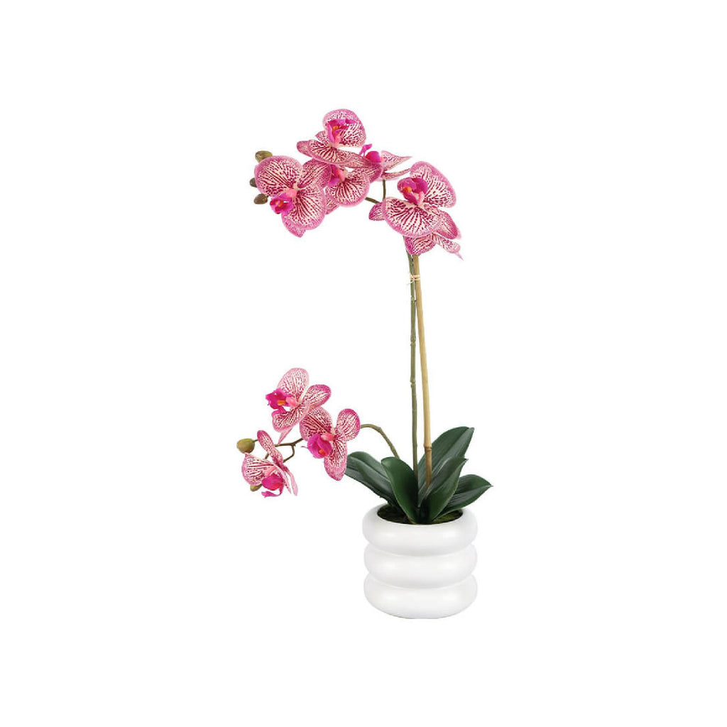 Artificial fuchsia orchid in rippled pot