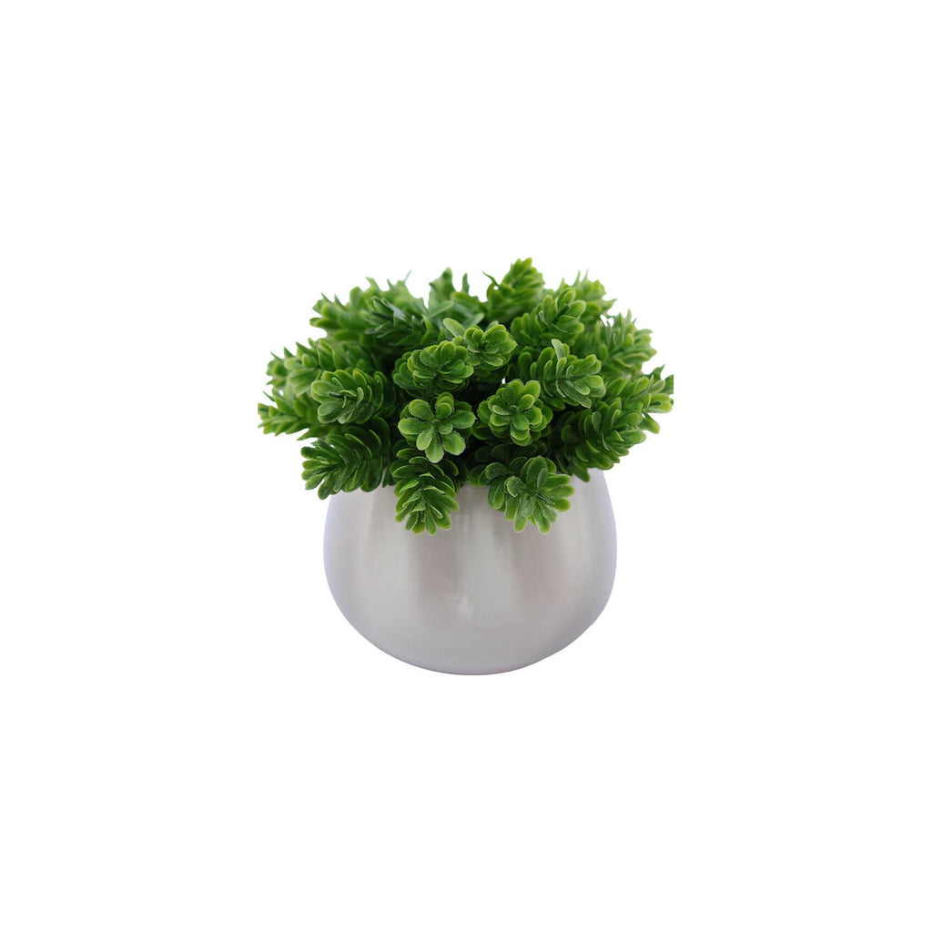 Artificial green succulent in white pot