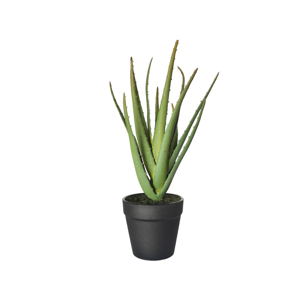 Artificial mini aloe vera plant