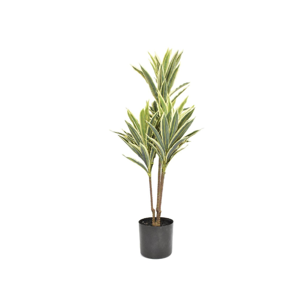 Artificial mini dracaena plant