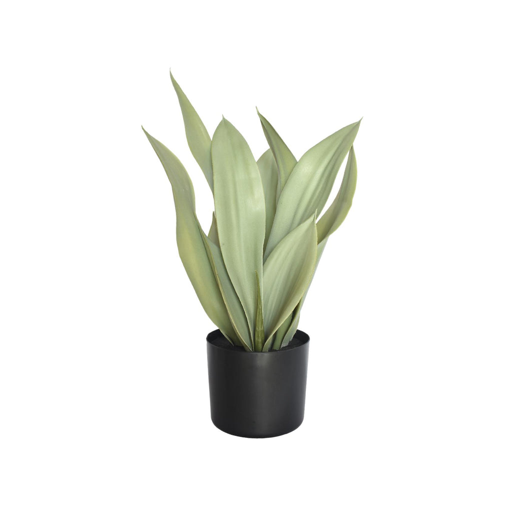 Artificial sansevieria plant