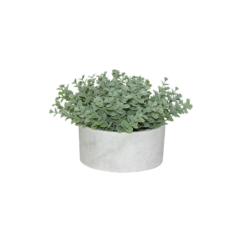 Artificial succulent in grey pot