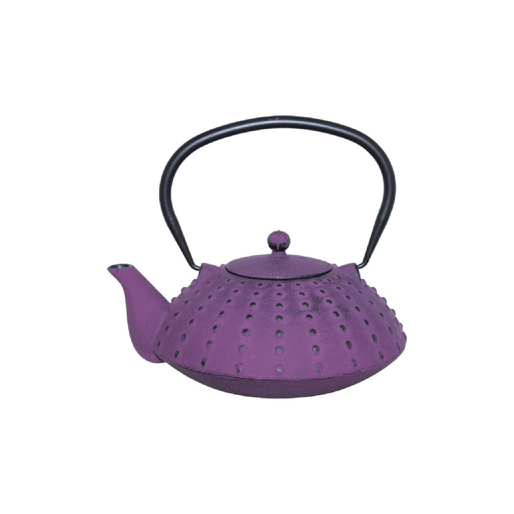 Purple cast iron teapot