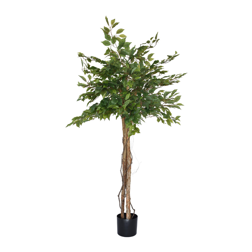 Artificial ficus tree with twisted stems